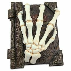 Disney Medium Figure - Captain's Journal Box