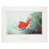 Disney Story Book Deluxe Art Print - Ariel And Flounder 2 Disney Story Book Deluxe Art Print - Ariel And Flounder -Art Print Sales 7509055890302
