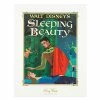 Disney Story Book Deluxe Art Print - Sleeping Beauty 1 Disney Story Book Deluxe Art Print - Sleeping Beauty -Art Print Sales 7509055890305